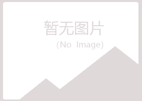 铁法紫山材料有限公司